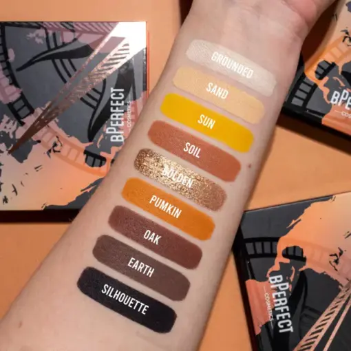 Compass of Creativity - North Nudes Palette Bperfect - Imagen 2